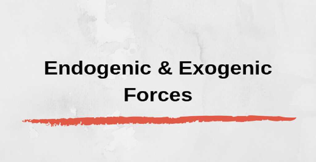 What are endogenic forces