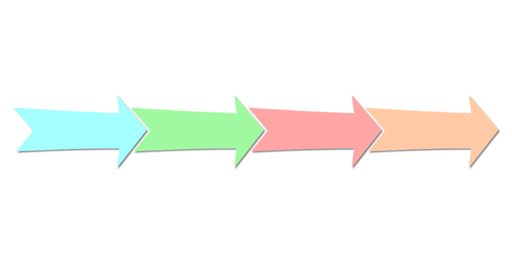 How does District Training Proceed for an IPS Probationer